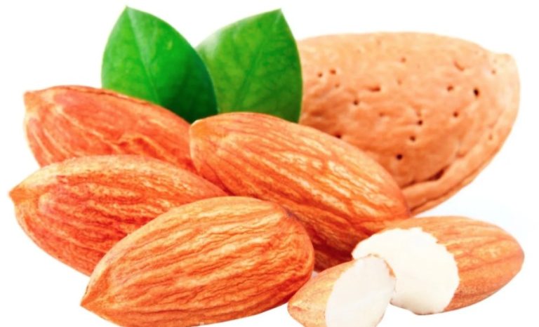 Bitter Almonds are Poisonous – So You Can Still Eat Them