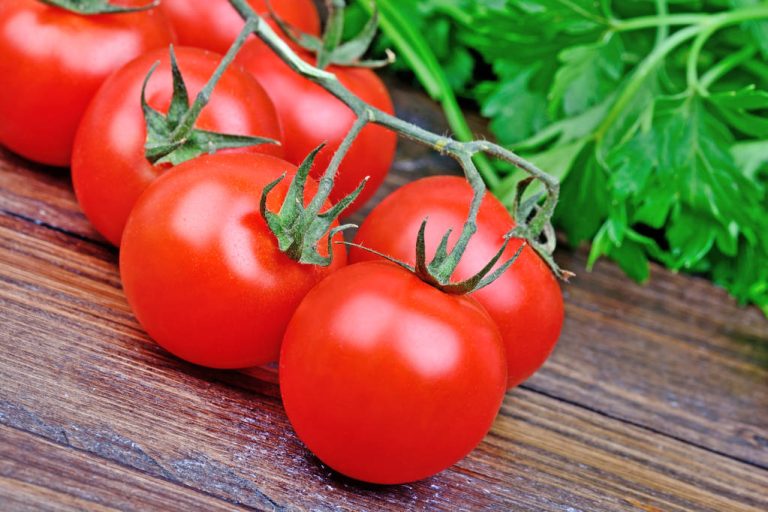 Storing Tomatoes: This is How Tomatoes Keep For a Long Time