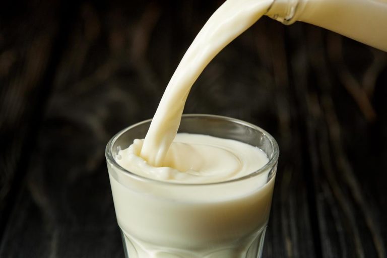 “Lupinenmilch”: Few People Know This Regional Milk Substitute
