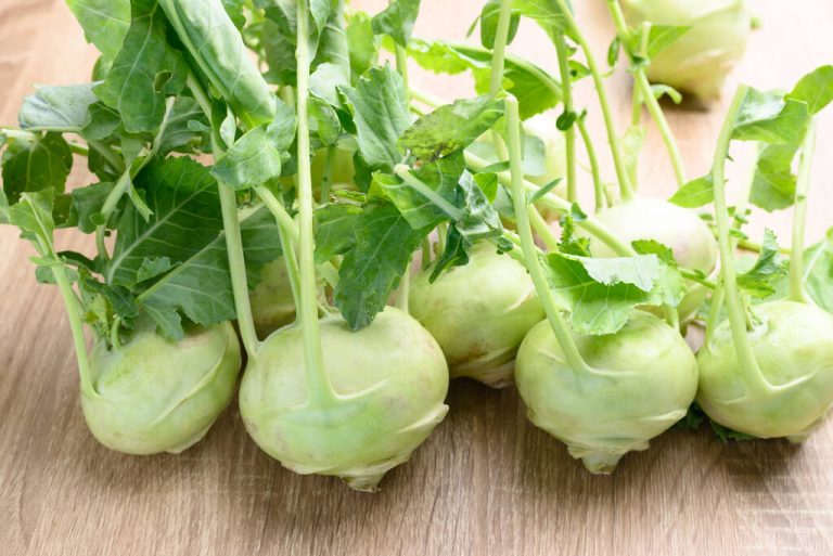 Kohlrabi Leaves: The Leaves are so Tasty to Use