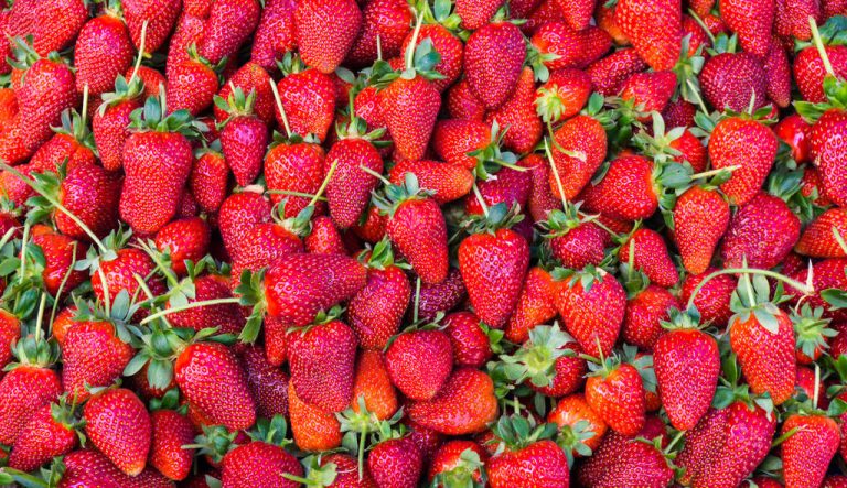 Strawberry Time: When Are Strawberries in Season?