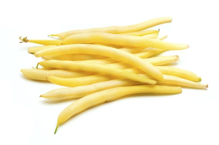 Cooking Beans: How Long Do Green and Yellow Beans Take?