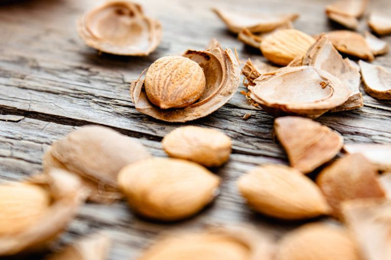 Eat The Kernels: You Should Not Throw Away These Fruit Seeds