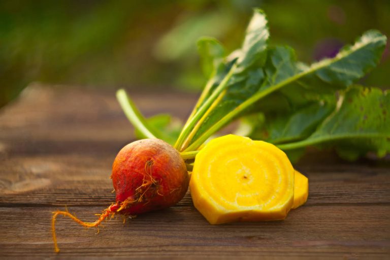 Preserve Diversity: You Should Know These 7 Old Types of Vegetables