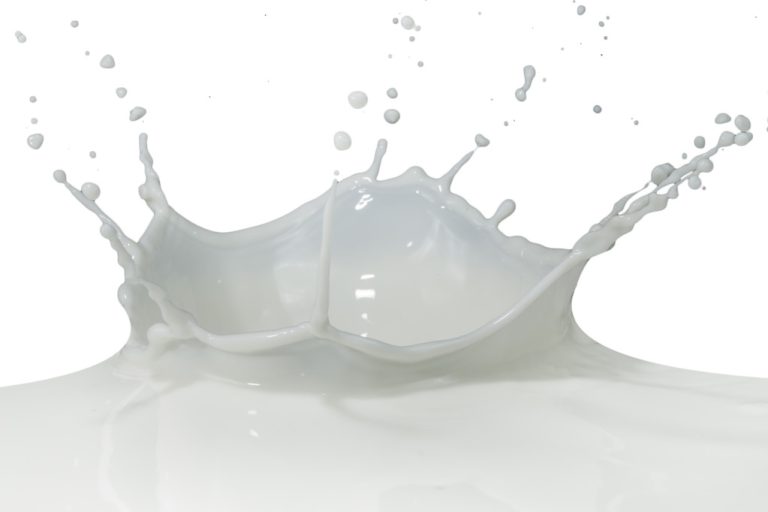 Pea Milk: Instructions and Things to Know About Milk Substitutes