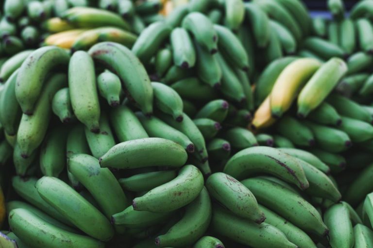 Plantains: How to Prepare Them