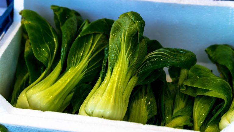 Frying Pak Choi: You Have to Pay Attention to That