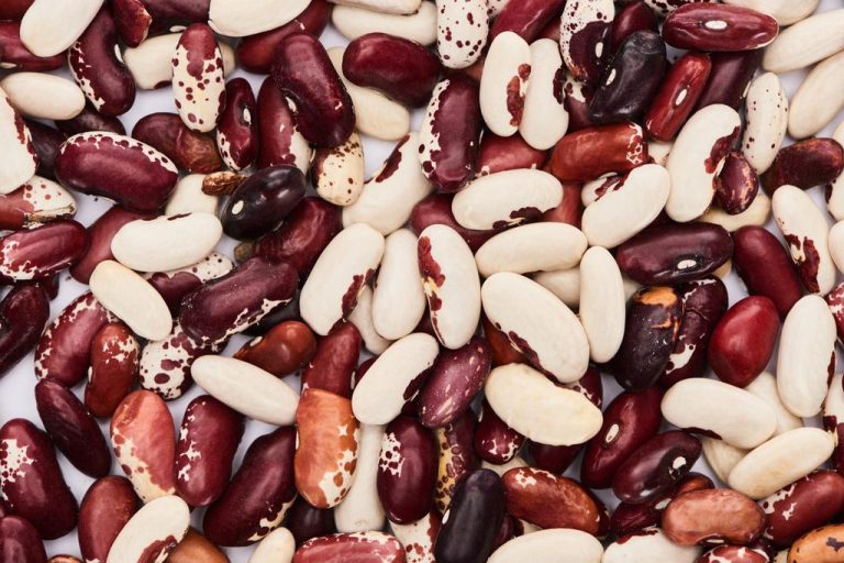 Legumes: Family of Plants That Improve The Soil