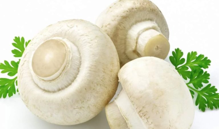 Mushrooms as a Meat Substitute: Which Varieties and How They are Suitable for This
