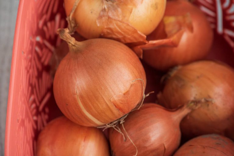 Onion Skin: 5 Amazing Uses