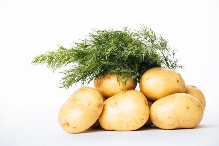 Seed Potatoes: Difference to Ware Potatoes, Varieties and More