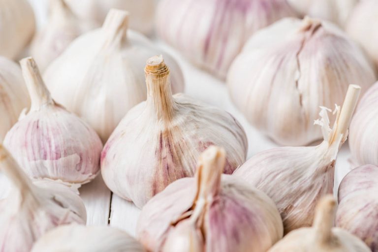 Plant Garlic: This is How it Grows at Home