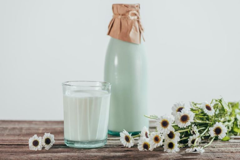Soy Milk vs. Cow’s Milk: Which is Healthier, More Sustainable, More Ethical?