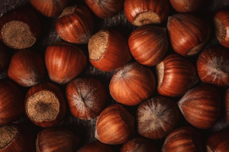 Hazelnut Oil: Effect and Application