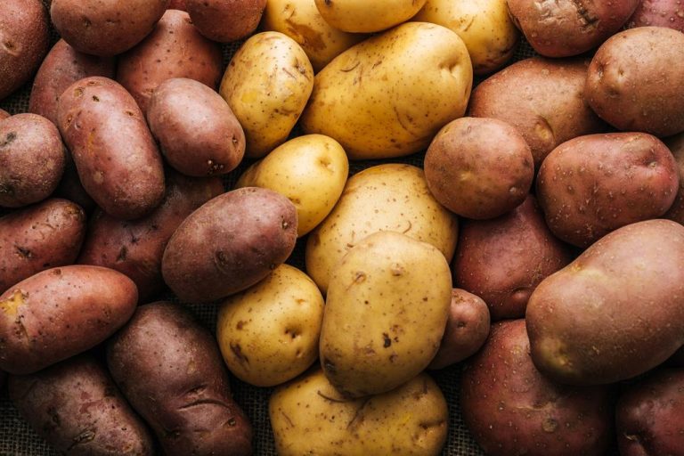 Potato Varieties: You Should Know These