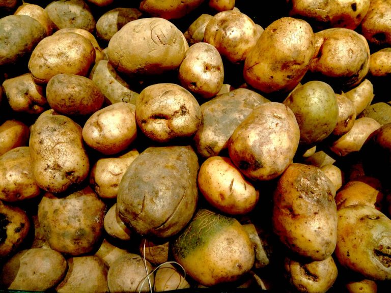 Planting potatoes: How it Works