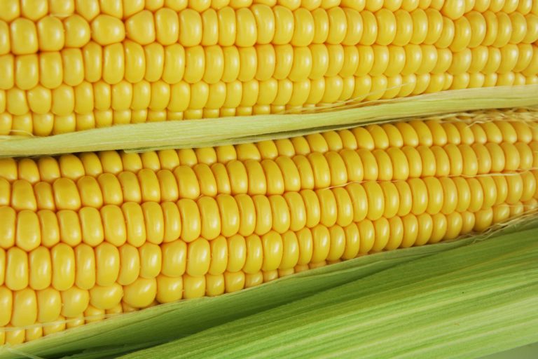 Corn Flour: Nutrients, Application and DIY Recipe