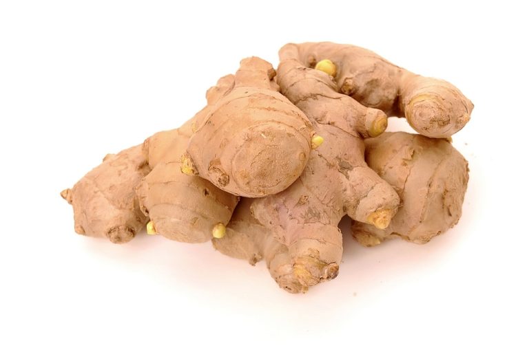 Losing Weight With Ginger: What is Behind it?