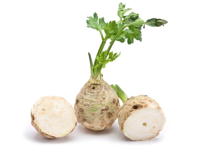 Celery Salt: Application and How to Make it Yourself