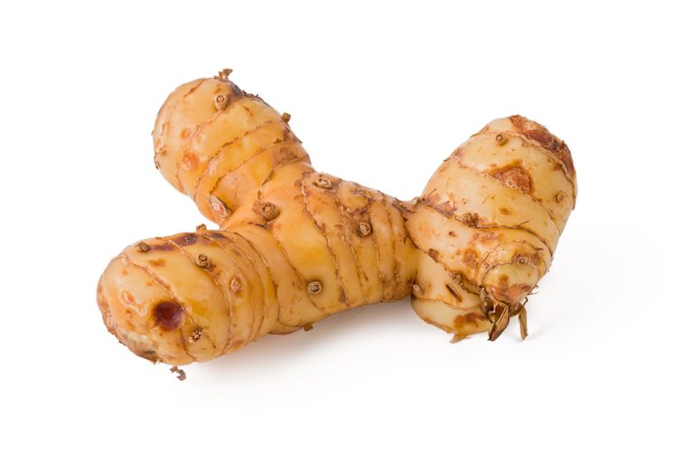 Galangal: Effects, Uses and Tips For Cultivation