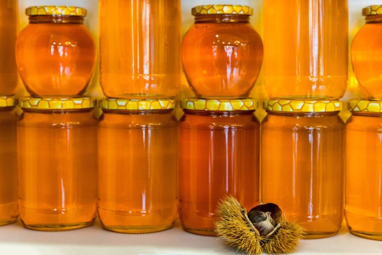 Chestnut Honey: What Makes it Special and How it Works