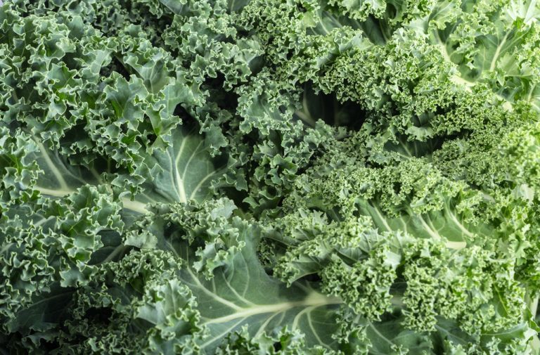 Freeze Kale: is it Even Necessary?