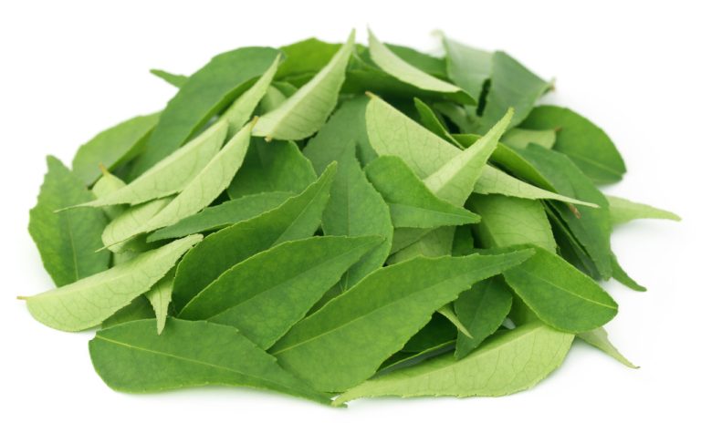 Curry Leaves: Origin and Use of The Spice