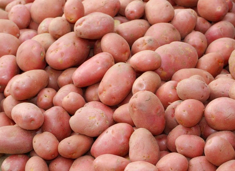 Red Potatoes: This Distinguishes Them From Other Potato Varieties