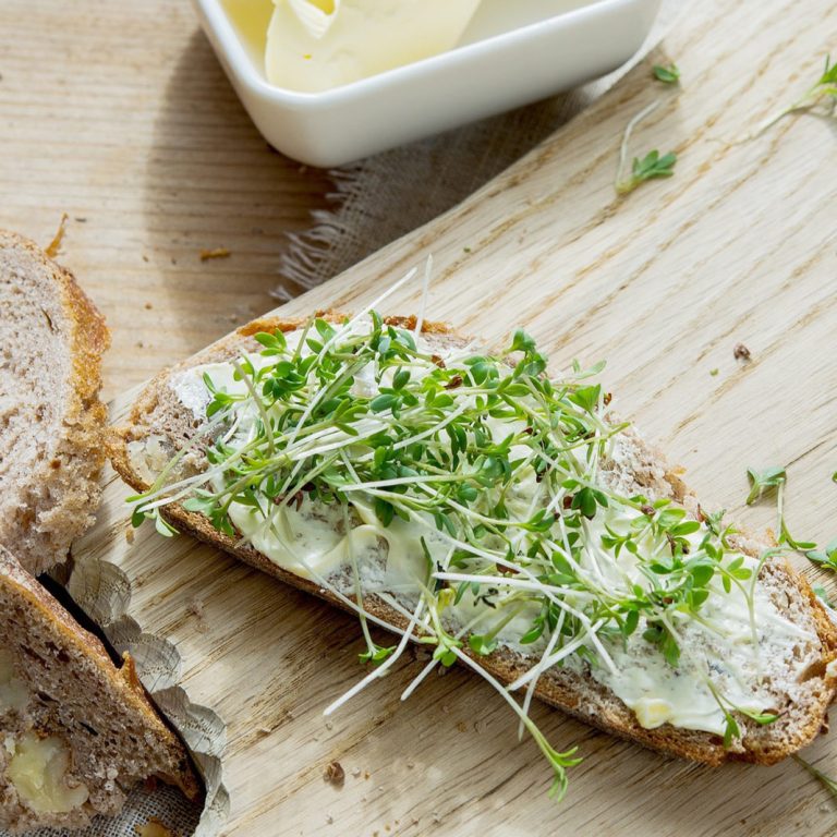 Grow Prouts and Seedlings Yourself
