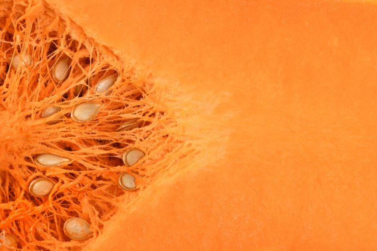 Nutmeg Pumpkin: Useful Information and Tips For Preparation