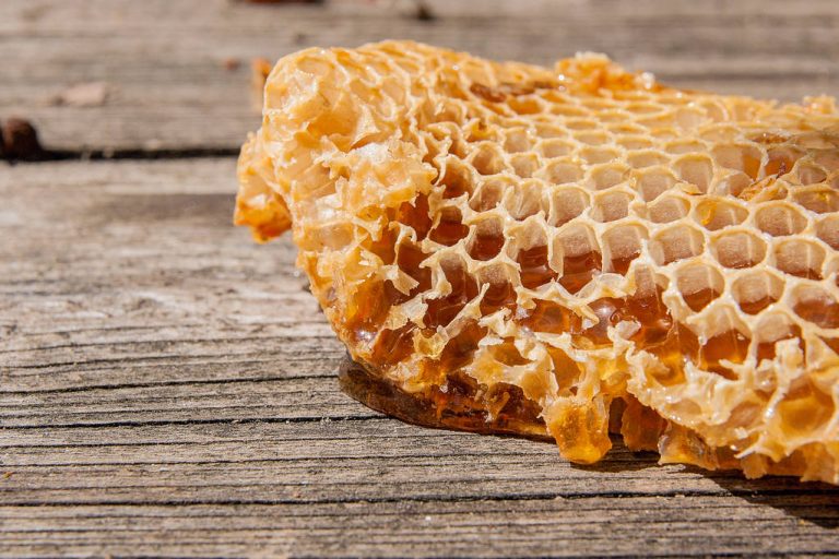Comb Honey: Properties, Special Features and What You Should Pay Attention to
