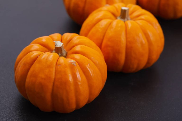 Freeze Pumpkin: You Should Pay Attention to This