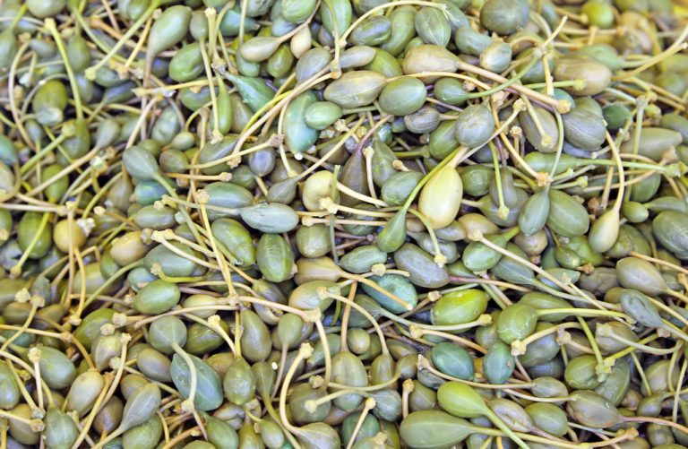 Capers: Delicious Bud With Healing Properties?
