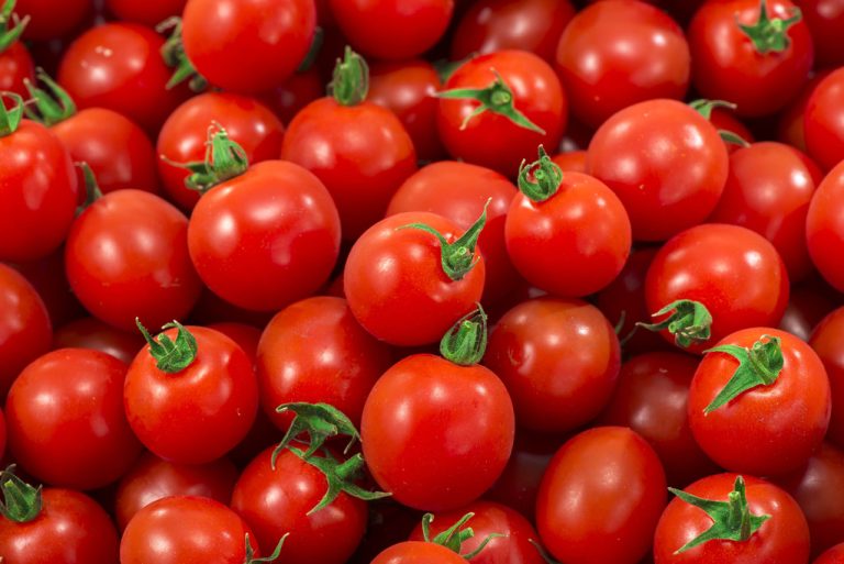 Tomatoes: The Popular Vegetable is so Healthy
