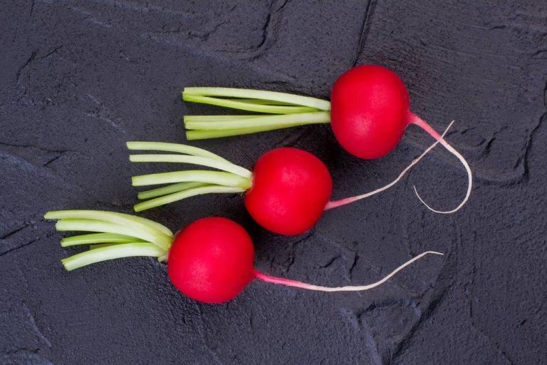 Storing Radishes: These Tips Will Keep Them Crunchy For Longer