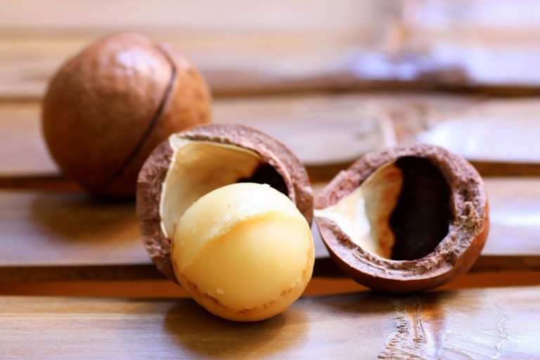 Macadamia: The Healthy But Unsustainable Queen of Nuts