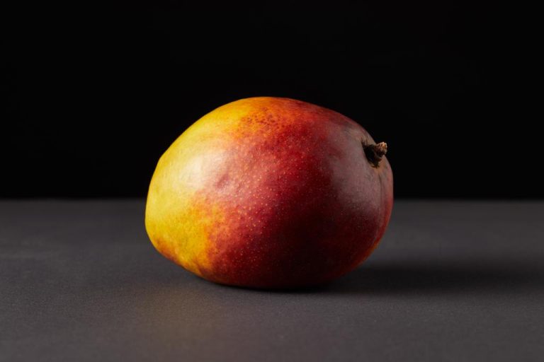 Fructose-Free Foods: What You Can Eat if You Are Intolerant