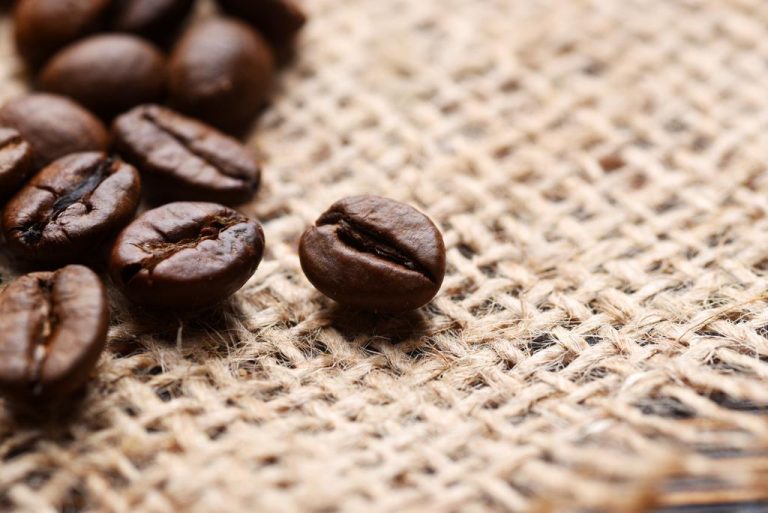 Alkaloids: This is What You Should Know About The Herbal Active Ingredient