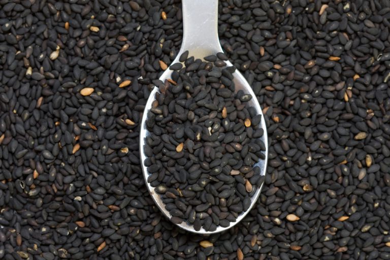 Amino Acids in Food: These are The Most Important Ones
