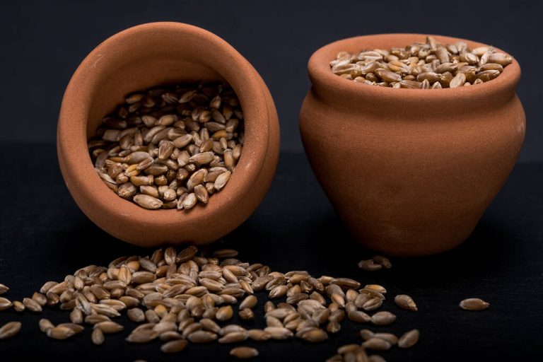 Emmer: Interesting Facts About Ancient Grain