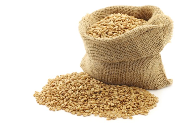 Einkorn: What Makes This Ancient Grain so Special