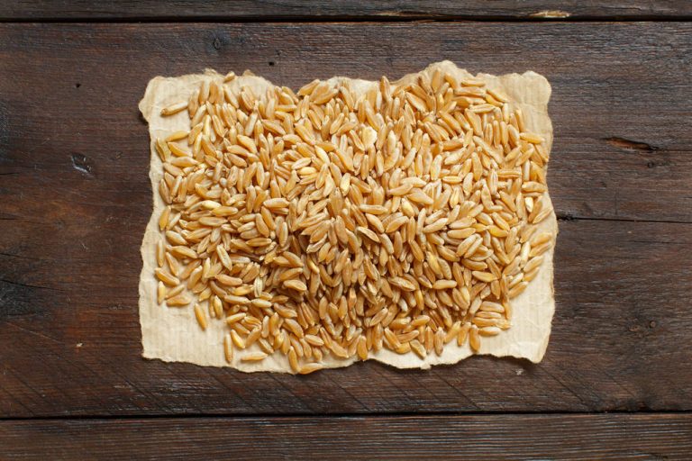Kamut: What You Should Know About Khorasan Wheat
