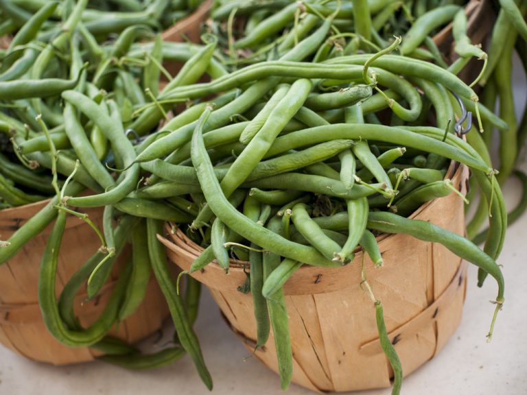 Blanching Beans: Easy Step-By-Step Instructions