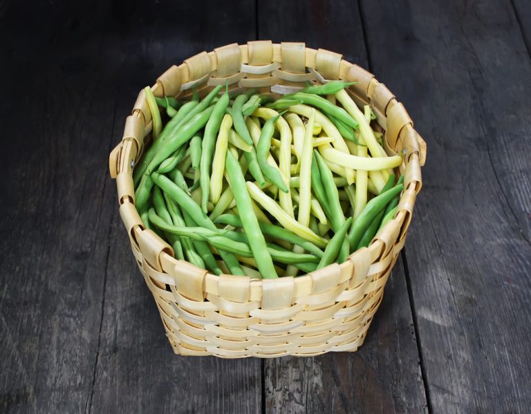 Boil Down Beans: This Way You Can Enjoy Them For Longer