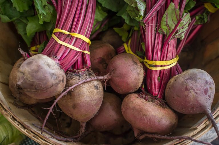 Boiling Beetroot: This Way You Have More of it