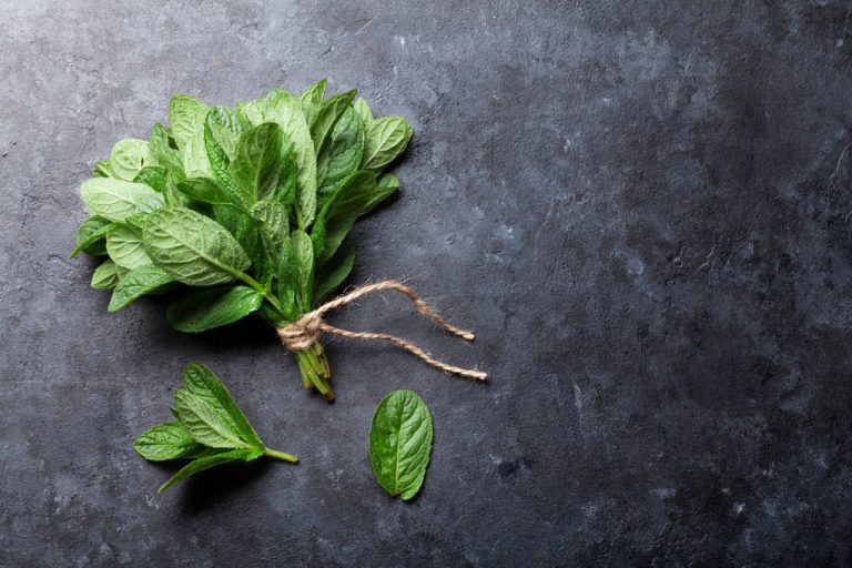 Drying Peppermint: Instructions and Tips