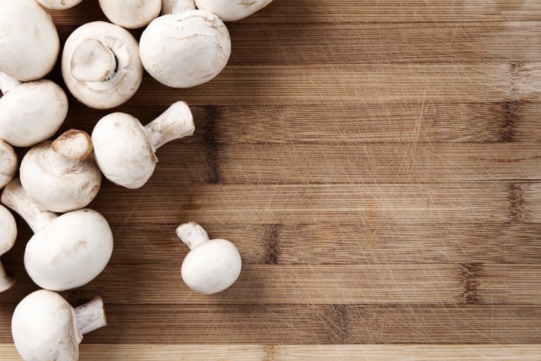 Eating Mushrooms Raw: What You Should Consider