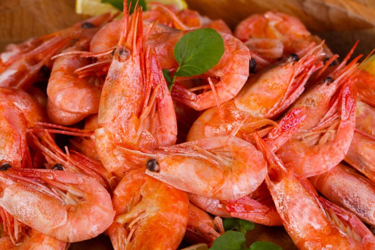 High Protein Foods You Should Know (List)