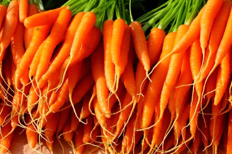 Eat Better: Are Cooked Carrots Healthier?