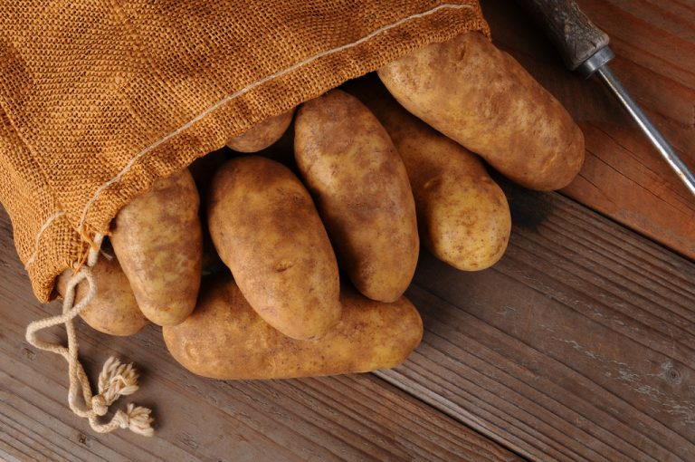 Dangerous Raw Vegetables: You Should Always Cook These Types of Vegetables
